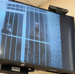 Продолжается суд над Львом Шлосбергом* по обвинению в дискредитации армии