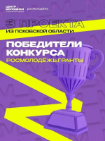 Три проекта из Псковской области стали победителями грантового конкурса Росмолодежь.Гранты