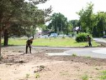 Губернатор оценил ход благоустройства сквера на Индустриальной в Пскове