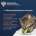 Что нужно для продолжительной и активной жизни