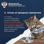 Что нужно для продолжительной и активной жизни