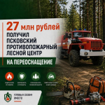 Изображение из группы Порховского лесничества в соцсети «ВКонтакте»