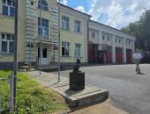 Барсика в каске установили на улице Максима Горького в Пскове