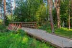 Корытовский лесопарк. Фото: ПАИ