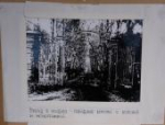 Найденный фотоальбом раскрыл новые страницы истории усадьбы Строгановых в Псковской области