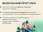Летние каникулы: как сделать отдых ребёнка безопасным