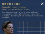 Организаторы «Западных ворот» представили вторую программу конкурса короткометражек