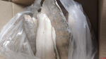 Экспорт животноводческой продукции из Псковской области вырос на 13%