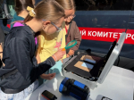 Сотрудники следственного управления приняли участие в акции «День безопасности»