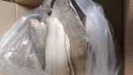 На 13% вырос экспорт животноводческой продукции из Псковской области