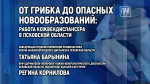 Изображение: ПАИ
