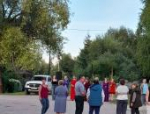День деревни отпраздновали в Городовике Дедовичского района
