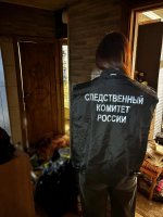 В Великих Луках местный житель обвиняется в убийстве отчима