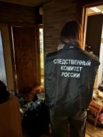 В Великих Луках местный житель обвиняется в убийстве отчима