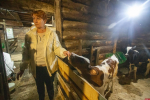 Лисий сыр