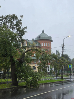 Фотофакт: В Пскове остаются поваленные деревья