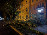 Около 400 жителей в 33 локнянских населённых пунктах ждут восстановления электроснабжения