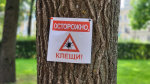 Фото: ПАИ