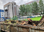 Последствия шторма на спортивных объектах ликвидировали в Пскове