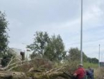 Последствия сильного ветра на спортивных объектах ликвидировали в Пскове