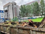 Последствия сильного ветра на спортивных объектах ликвидировали в Пскове
