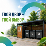 Псковичи могут проголосовать за варианты оформления площадок для ТКО