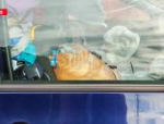 Пять человек пострадали во время ДТП в Новосокольническом районе