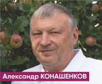 Команда Васильева