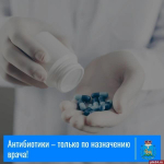Микробиолог напомнила псковичам, что антибиотики нужно пропивать полным курсом