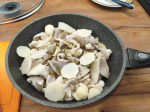 Хозяйка «грибной фермы» из Пскова рассказала о вкусе выращенных ею вешенок