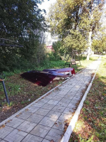 Ночной акт вандализма в Локне
