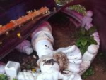 Установлены личности виновных в разгроме территории ТОС «Вдохновение» в Локне