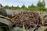Археологи собрали 500 кг металлургических шлаков на поселении Горожане