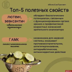 В сезон «обмена» кабачками псковичам напомнили об их пользе в рационе