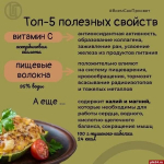 В сезон «обмена» кабачками псковичам напомнили об их пользе в рационе