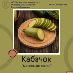В сезон «обмена» кабачками псковичам напомнили об их пользе в рационе