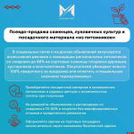 Популярные «осенние» схемы мошенников назвали псковичам