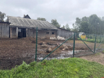 Волки растерзали домашний скот на ферме в Куньинском округе