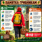 Псковичам напомнили, как не заблудиться в лесу во время сбора грибов