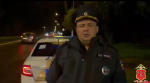 12-летняя девочка погибла под колесами автомобиля на трассе Санкт-Петербург — Псков