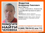 Изображение предоставлено поисково-спасательным отрядом «ЛизаАлерт» Псковской области