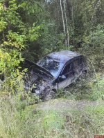 Водитель «Рено» погиб в результате съезда с дороги в Плюсском округе