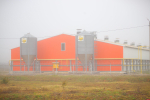 Межпоселковый газопровод ввели в эксплуатацию в Куньинском округе