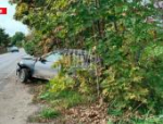 Смертельная авария в Стругах Красных: водитель скончался до приезда скорой помощи