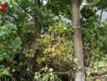 Смертельная авария в Стругах Красных: водитель скончался до приезда скорой помощи