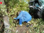 Смертельная авария в Стругах Красных: водитель скончался до приезда скорой помощи