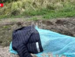 Водитель погиб во время лобового столкновения в Острове