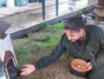 Псковичи объединились для помощи белкам и дикобразам