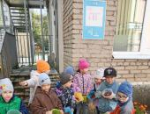 Псковичи объединились для помощи белкам и дикобразам