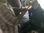 В Плюсском районе завершено расследование уголовного дела в отношении женщины, обвиняемой в причинении сожителю легкого вреда здоровью
